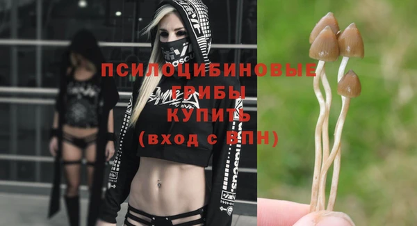 прущие крисы Арсеньев