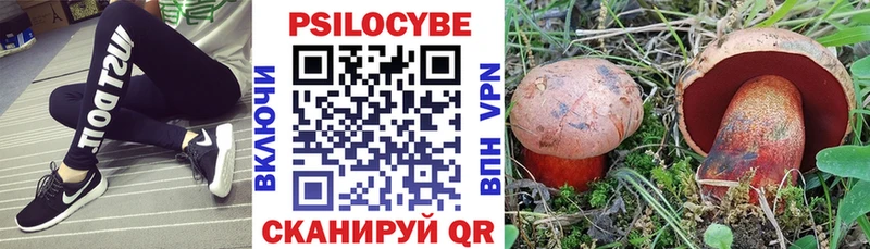 Псилоцибиновые грибы MAGIC MUSHROOMS  Купить где  Новоуральск 